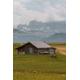 House on the Grass - 5000 Piece Wooden Jigsaw Puzzle - Floor Jigsaw Puzzle Fun Game or Jigsaw Puzzle