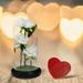 Butterflys Color Rose Glass Cover LED Lamp Lmitation Valentine s Day Gift Decoration Ornaments