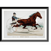 Historic Framed Print Trotting mare Belle Hamlin record 2:12 3/4 - 3 17-7/8 x 21-7/8