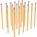 Wooden Pencil 2.2Mm 2 Medium Lead 48/Pack (TR58561)