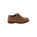 Sperry Top Sider Dress Shoes: Brown Color Block Shoes - Kids Boy's Size 1