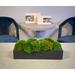 Creative Displays, Inc. Nature's Nostalgia Moss Plant in Fiberstone Planter Fiberstone in Black | 8 H x 19 W x 8 D in | Wayfair CDTR1524