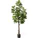 Artificial Fiddle Leaf Fig Tree 6/7 Feet In With Dried Moss For Indoor House Home Office Store ted Ficus Lyrata Faux Tree Fake Plant Modern Decoration Gift For Housewarming