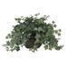 Silk Plant Nearly Natural Puff Ivy w/Vase Silk Plant