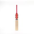 Gray Nicolls Shockwave 2.1 300 Junior Cricket Bat - New for 2024 (4)