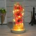 Homchy Valentine s Day Gift Valentine s Day Decoration Artificial Sunflower In Glass Dome with Led Light Strip Express Your Love Gift for Christmas Mother s Day Valentine s Day Anniversary Birthday