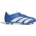 ADIDAS Herren Fussball-Rasenschuhe Predator Accuracy.4 FxG, Größe 42 in Blau