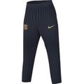 Nike Herren Hose FCB Mnk Dfadvstrkelt PNT Kpz, Obsidian/Club Gold/Club Gold, FJ5383-451, S