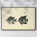 Wexford Home Bloch Antique Fish II Framed On Canvas Print Canvas, Solid Wood in Black/White | 17 H x 25 W x 2 D in | Wayfair CF08-2648601-FL101