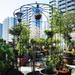 Metal Garden Arch Iron Garden Arbors Gazebo Dia High Birdcage Shape Pergola Pavilion for Wedding Ceremony Outdoor