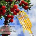 High-altitude Fruit Picker Picking Bayberry Tool Fruit Picker Loquat Fruit Picker Garden Picking Device Fruit Collector