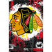 NHL Chicago Blackhawks - Maximalist Logo 23 Wall Poster 22.375 x 34