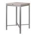 Lagoon Russ Resin Outdoor Bar Table Plastic in Gray | 41.7 H x 26.8 W x 26.8 D in | Wayfair 7022G6-B2LGS