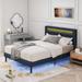 Wrought Studio™ Queen Size Bed Frame w/ LED Lights Upholstered/Metal in Blue/Gray | 45.28 H x 60.43 W x 85.43 D in | Wayfair