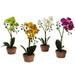 Silk Plant Nearly Natural Phalaenopsis Orchid w/Clay Vase (Set of 4)