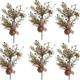 Pack Of 6 Star Rustic Holiday Floral Stems - Primitive Farmhouse Faux Pine And Pip Berry Picks With Sleigh Jingle s Star Cutout & Gingham Checked Ribbon (14-3/4 H)