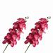 Water Velvet Phalaenopsis High Artificial Stemless Rose Flower Heads Mini Artificial Flowers Wedding Flower Arch Artificial Rose Flower Heads for Weddings Winter Flower Arrangements Artificial