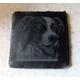 New 'BORDER COLLIE' Rustic Welsh Slate Drinks Coaster - Functional and Personal for all Border Collie Owners - Lovely Gift for all occasions