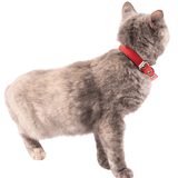 Filbert Cat Collar Soft to the Touch Kitten Collar with Bell Adjustable Cat Collars w/ Buckle Cute Cat Collar with Bells Charming Kitten Collars in 5 Colors Best Boy Cat Collar & Girl Cat Collars