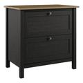 Pemberly Row 2 Drawer Lateral File Cabinet in Vintage Black and Reclaimed Pine