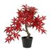 Silk Plant Nearly Natural 20 Autumn Maple Bonsai