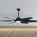 Zoom 66" Ceiling Fan with Blades and Light Kit