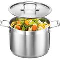 Lifemaster Stockpot 8 quart stock pot stainless stock pot w/ lid stainless steel stock pot cooking pot Non Stick | Wayfair BAKSTQ8