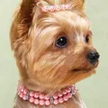 Collier élastique œil de chien bijoux pour chiot collier moyen décor de perles pour chiens
