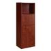 Latitude Run® Roberval 3 Door Cabinet w/ Shelves, Cherry Wood in Brown | 46.75 H x 16.5 W x 12 D in | Wayfair 81EC83254CF5437E8E7CAB43241B5516