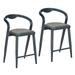 Danolapsi Counter Height Bar Stools Set of 2 Modern Bar Chairs Stylish Modern Counter Stools with Low Back Comfortable Indoor and Outdoor Barstools for Kitchen Counter/Home Bar/Dining Room