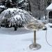 LOOPSUN Valentines Day Savings Clearance 2024! Bird Bath Heater For Outdoors In Winter - 10 W Birdbath Deicer With Thermostatic Control And 4.3 Ft Long Power Cord Energy Saving For Garden Yard Patio