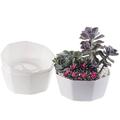 3 Pack Grey Flower Pots Outdoor Indoor Garden Planters Plant Containers with Drain Hole Plant Pots for All Home Garden Flowers Succulents. gticphyj