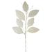 Magnolia Leaf Spray 31.5 H (Set of 12) Paper