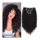 Hair Extensions 7pieces Kinky Curly Clip In Hair Extension Full Head - Double Weft Full Head Heat Resistance Synthetic Hair Extension Fake Hair Pieces for Women, 24" Hair Pieces (Color : 4, Size : 2
