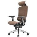 SHERAF office chair Office Chair，Ergonomic Chair Computer Chair Home Office Boss Chair Live Chair Anchor Esports Chair, Product Size: 117x70cm office chairs for home lofty ambition