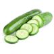 Vegetable Plants - Cucumber 'Tribute' - 6 x Plug Plant Pack - Garden Ready + Ready to Plant - Premium Quality Plants...