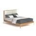 AllModern Risley Tufted Platform Bed Wood & /Upholstered/Polyester in Brown | 43 H x 58.5 W x 82 D in | Wayfair 89B77BA4BC3E46719D5CD4ABE24BB993