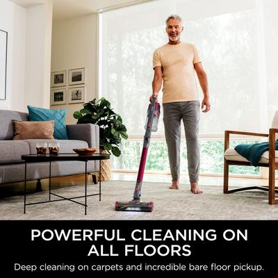 IZ163H Pet Plus Cordless Stick Vacuum w/ Self-Cleaning Brushroll, PowerFins, MultiFLEX, Crevice & Pet Multi-Tool, 40-min Runtime