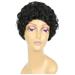 Skpblutn Human Hair Wig Black Wavy Short Curly Hair Short Curly Wig Female Headgear Suitable For Women s Wigs Black Wig Headband Wigs Black