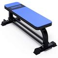 Weight Bench Weight Bench, Blue Standard Weight Training Benches Dumbbell Flat Stool Supine Board Commercial Professional Fitness Equipment Workout Bench