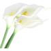 3 Pcs 28 X-Large Artificial Calla Lily Flowers Real Touch Latex Bouquet for Wedding Centerpiece Room Office Party Home Decor Floral Arrangements (X-Large - 3 Pack White)