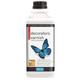 Polyvine - Decorators Varnish Satin Clear 2L