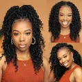 Karida-Extensions de cheveux au crochet pour femmes Faux Locs Cheveux au crochet Extrémités