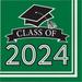 Creative Converting Class of 2024 Graduation Napkins, 108 ct in Green/White/Black | Wayfair DTC369902NAP