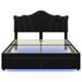 Wrought Studio™ Platform Bed Frame w/ 2 Storage Drawers & Smart Rgb Led Lights Led Storage Bed Frame Queen Size w/ Rivet Curved Adjustable He Upholstered/Velvet/Metal | Wayfair