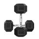 NTEK Hex Dumbbells, Dumbbell Weights for Weight Training, Cast Iron Chrome Dumbbell, Poly Rubber Encased Dumbbell, Portable Hand Weights Dumbbell Home Gym Workout (12.5 Kilograms, PACK OF 2)