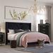 Lark Manor™ Arquimedes Wingback Bed Upholstered/Velvet in Black | California King | Wayfair B5FEE5908749417BB9D1150BA5B7A7EE