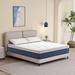 Twin Medium 14" Gel/Foam Mattress - EGO HOME Oliveras Gel Memory Foam | 75 H x 38 W 14 D in Wayfair M-MWY-14T