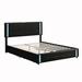 Ivy Bronx Huibert Upholstered Platform Bed Upholstered in Black | 43.19 H x 83.89 W x 64.49 D in | Wayfair 054B8166493B43DEBC82C444AC4A1B88