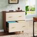 File Cabinet with 2 Saddle Leather Drawers